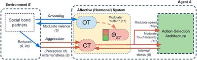 The Long-Term Efficacy of “Social Buffering” in Artificial Social Agents: Contextual Affective Perception Matters
